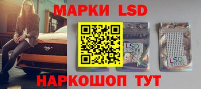 крисы Будённовск