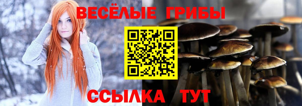 Унеча  Псилоцибиновые грибы прущие грибы  Вход с VPN 